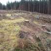 View along low ridge and shallow hollows along the outside of the projected line of the annexe rampart, direction ESE