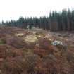 View along low ridge along the outside of the projected line of the annexe rampart, direction SE