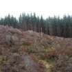 View towards the NW end of the low ridge along the outside of the projected line of the annexe rampart, direction SSE