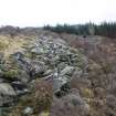 View along the main rampart to the N of the annexe, direction S