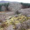 View along rampart rubble at the SE corner of the fort, direction S