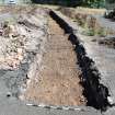 Trench 3 from the SW end, facing NE