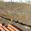 Trench 10. Black silty clay over brown silty clay over brown and yellow  gravel, facing NW