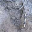 WB NE area. Cut [250] at SW corner of trench facing NW