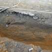 WB SW area. Cut [282] seen in NW side of trench towards the NE end facing NW