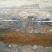WB SW area. Cobbled surface seen on NW side of trench towards the NE end facing NW