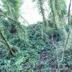 Ice house pre-works south side with overgrown mound