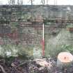 Wall on south side of Ice house - N facing elevation of wall showing concrete render