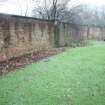 Shots of garden walls