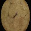 Verso of plaster cast intaglio of a man's head inscribed 'B M Smith'.