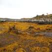 Photograph of the wrecks at Fearnmore, Loch Torridon, by Karen Hardy