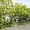 View of gardens behind 26 Sutherland Avenue from south west.