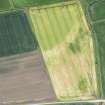 Oblique aerial view.