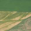 Oblique aerial view.