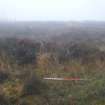 Site 18. Pre-ex slot B