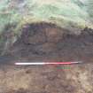 Site 18. Slot C. S-facing section through W side of enclosure.