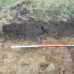 Site 18. Slot A. S-facing section through E side of enclosure.
