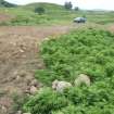 Site 35. Bridgehead area prior to excavation.