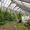 Interior view of westernmost greenhouse section from the west, at Walled Garden, Housedale, Dunecht House.