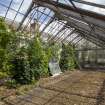 General view of central section of greenhouse from the south-west, Walled Garden, Housedale, Dunecht House.