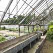 General view of planting pit section of greenhouse from the north-east, Walled Garden, Housedale, Dunecht House.