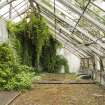 General view of easternmost section of greenhouse from the west, Walled Garden, Housedale, Dunecht House.