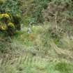 On-line Digital Images