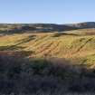 Cultivation remains at Hallaig