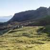 General view showing the shepherd's house and ?byre, with the sheep fank to the left. Older croft boundaries are visible as grassy scarps.