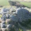 View of the western cupmarked rock