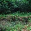 Bank alongside main lade - from ENE- photograph from Standing Building Survey