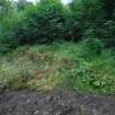 Bank alongside main lade - from NE - photograph from Standing Building Survey