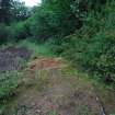 Main lade and bank - from NNE - photograph from Standing Building Survey
