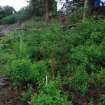 General shot of upper part of secondary lade - from NE- photograph from Standing Building Survey