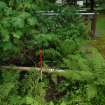 Junction between secondary lade and outlet channel - from SW - photograph from Standing Building Survey