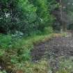 Bank alongside main lade - from S - photograph from Standing Building Survey
