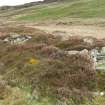 Walkover survey, Site 4, remains of building, viewed from the SE, Pitmackie Hydro-Electric Scheme, Glen Quoich, Perthshire