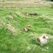 Walkover survey, Site 2, Building 1, viewed from the W, Pitmackie Hydro-Electric Scheme, Glen Quoich, Perthshire