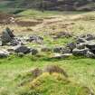 Walkover survey, Site 8, possible shieling hut, viewed from the N, Pitmackie Hydro-Electric Scheme, Glen Quoich, Perthshire