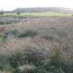 Archaeological evaluation, E-end of site showing modern scarping, in-filled area and boggy ground, Olympic Rings, Dundonald, Ayrshire