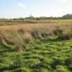 Archaeological evaluation, E-end of site showing modern scarping, in-filled area and boggy ground, Olympic Rings, Dundonald, Ayrshire