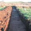 Archaeological evaluation, Trench 13 post ex from W, Olympic Rings, Dundonald, Ayrshire