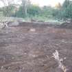 Excavation, General view, Craigpark Quarry, Ratho, Edinburgh