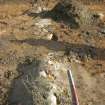 Excavation, Detail view, Craigpark Quarry, Ratho, Edinburgh