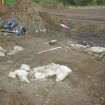 Excavation, Detail shot, Craigpark Quarry, Ratho, Edinburgh