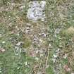 Medieval grave slab (2)