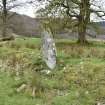 View of standing stone