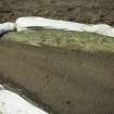 Evaluation trenching photograph, Carpow Log Boat, Carpow Bank, Sandbagged bow. From SE