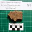 Trench 1 photograph, Pottery Fragment SF1, Colpy