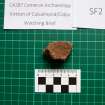 Trench 1 photograph, Pottery Fragment SF2, Colpy